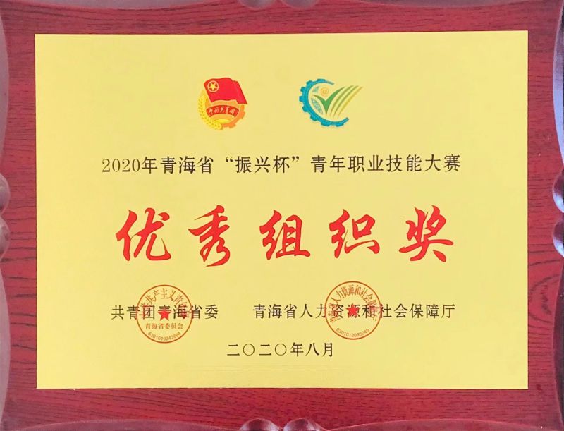 2020年8月青海省“振興杯”青年職業(yè)技能大賽優(yōu)秀組織獎